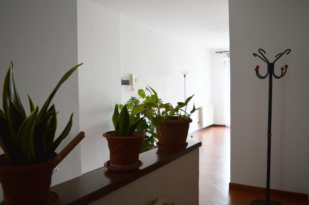 Il Corso Bed and Breakfast Novara Eksteriør billede